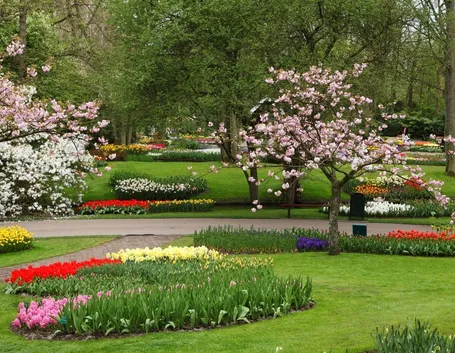 giardino