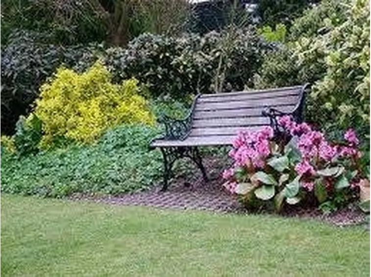 panchina giardino