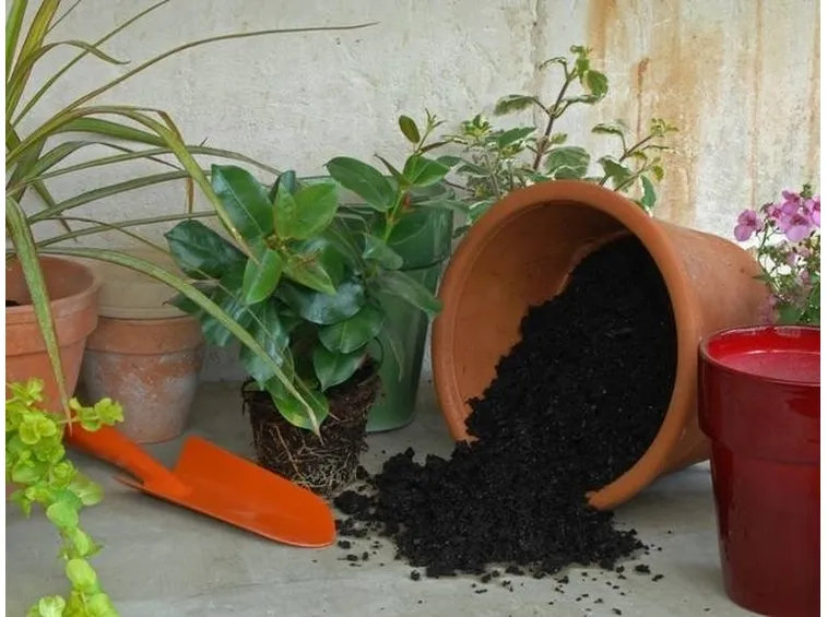 preparare i vasi