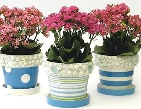 vasi di fiori