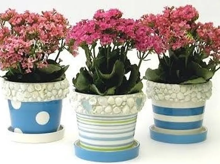 vasi di fiori