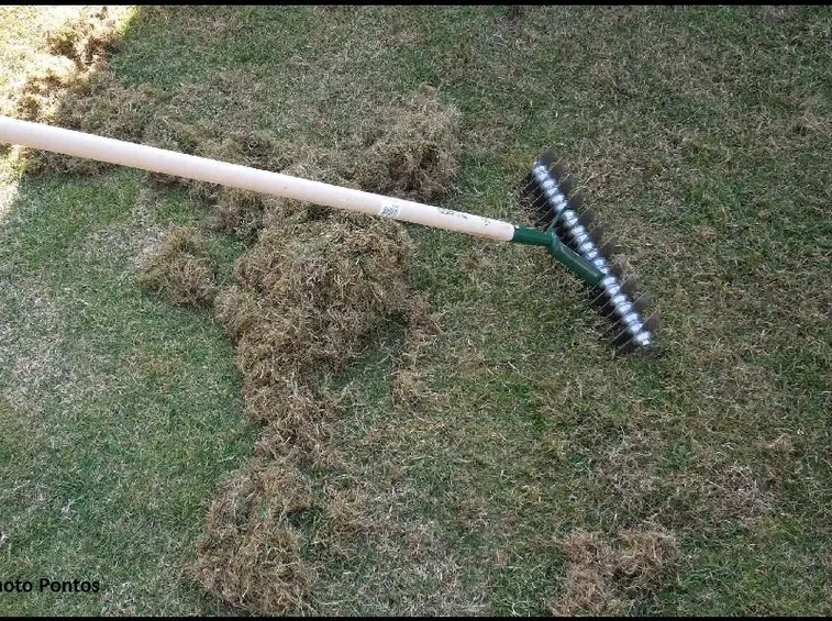 Il feltro