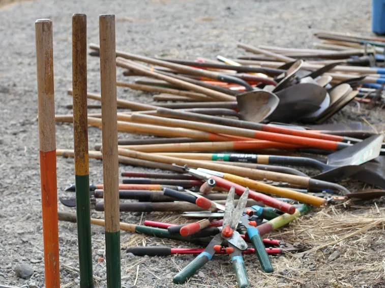 Diversi tipi di badile.