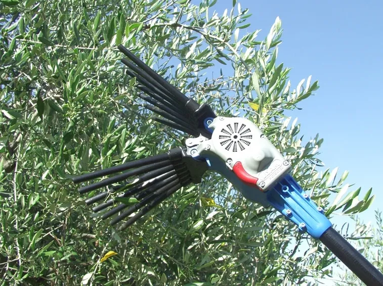Esempio di sferzatore elettrico