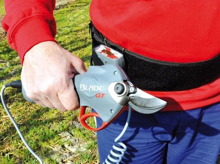 forbici per potatura elettriche