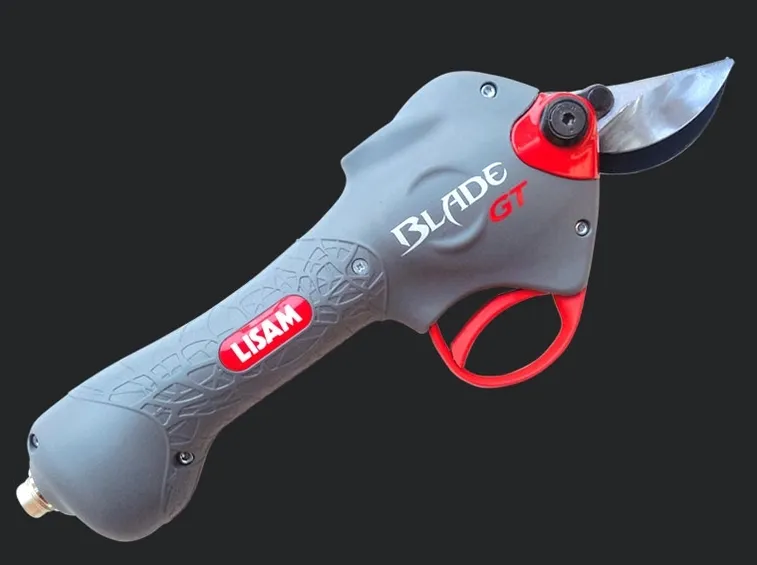 Modello della Lisam di forbici per potatura elettriche