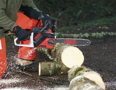 Taglialegna con motosega a batteria