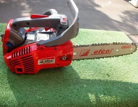 Una motosega Efco da potatura