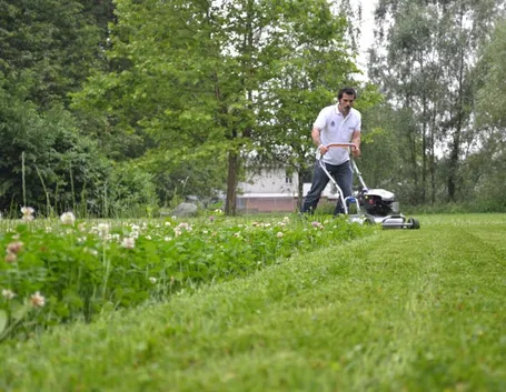 tagliaerba grin per giardino