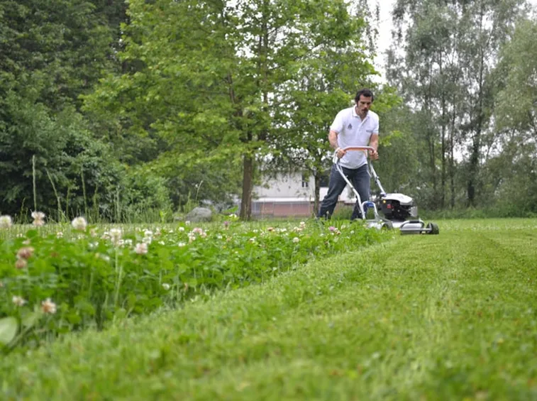 tagliaerba grin per giardino