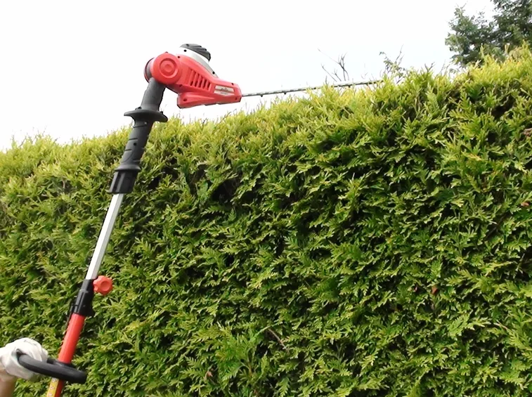 Tagliasiepi elettrico telescopico