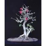buganville bonsai