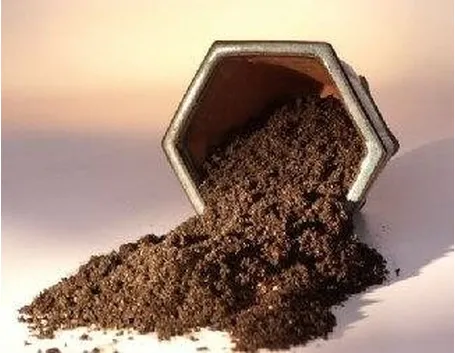 Terriccio bonsai 