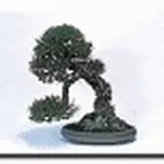 shakkan