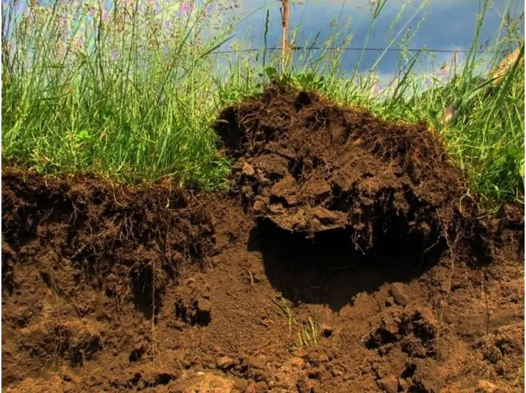 terreno