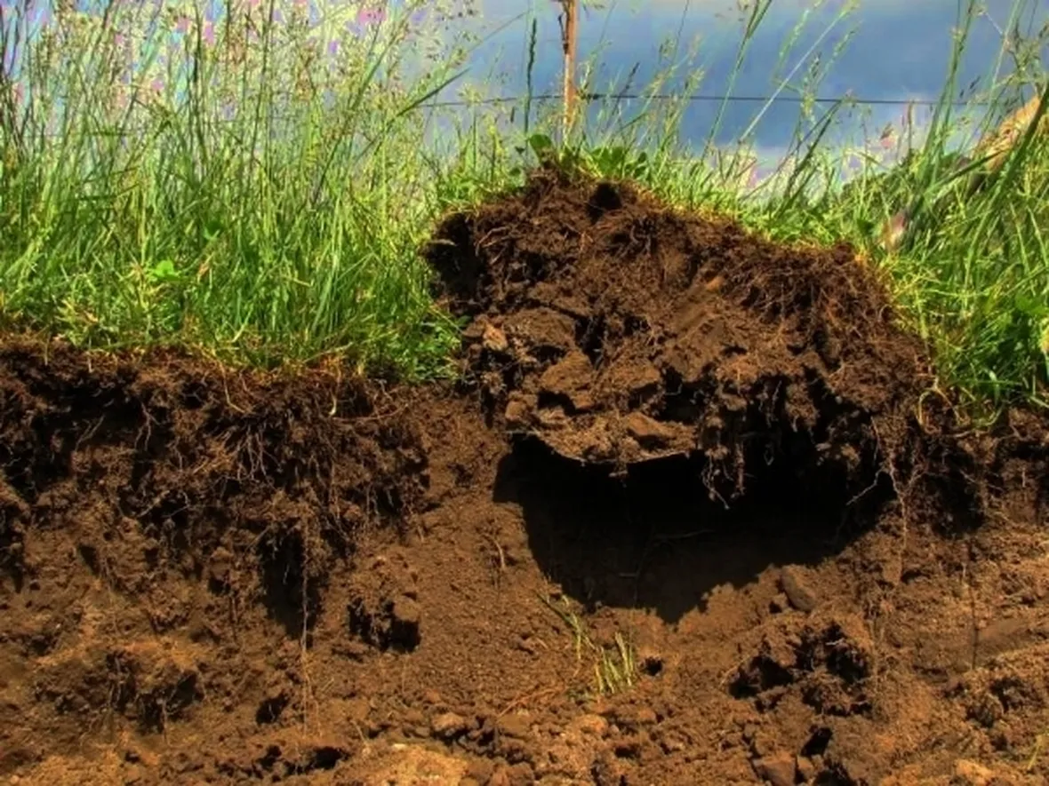 terreno