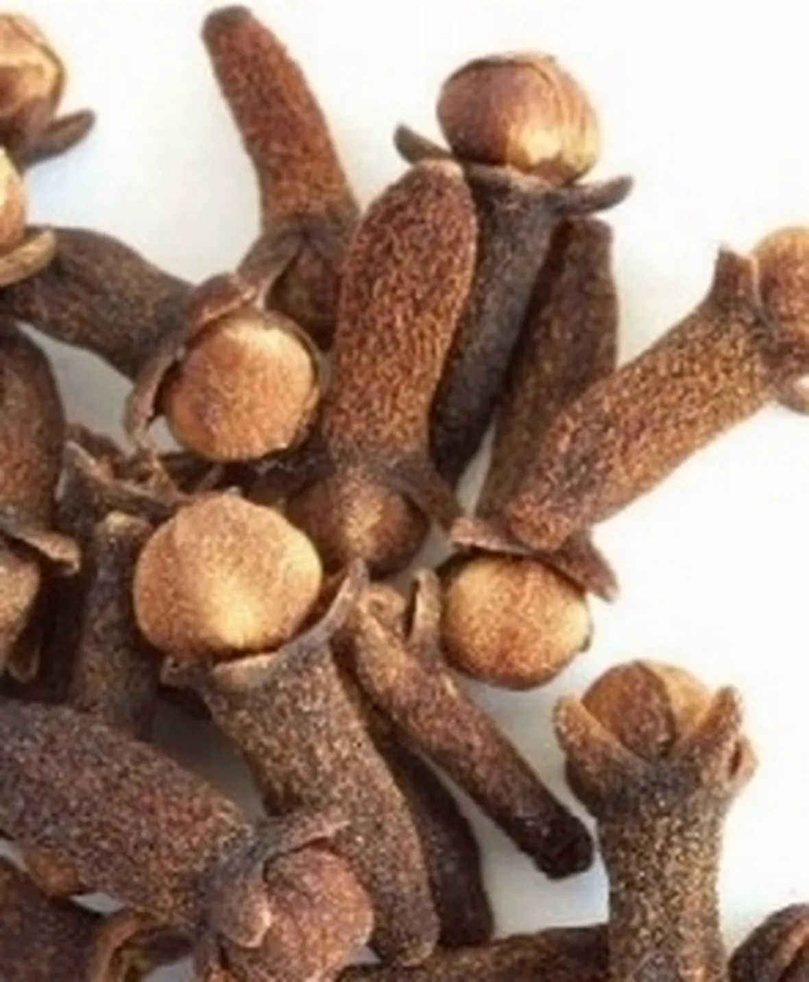 chiodi di garofano