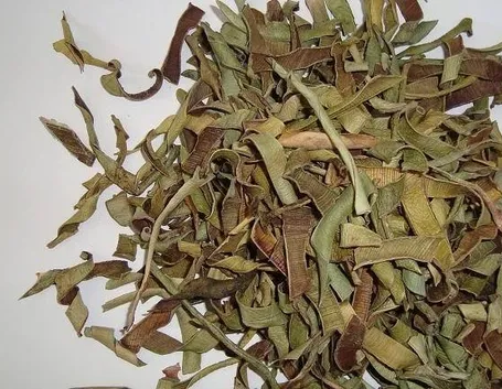 erba amare
