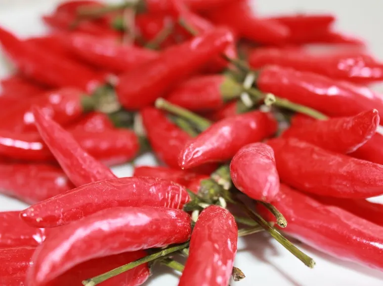 peperoncino