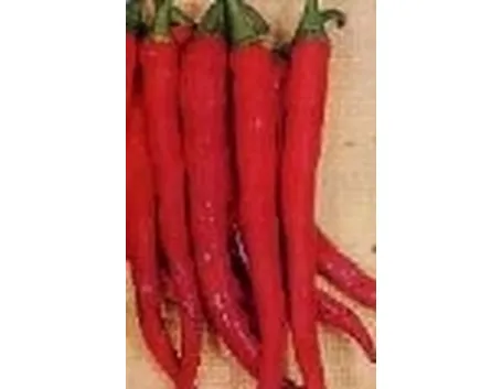 peperoncino