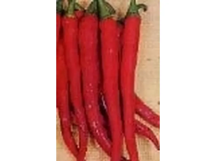 peperoncino