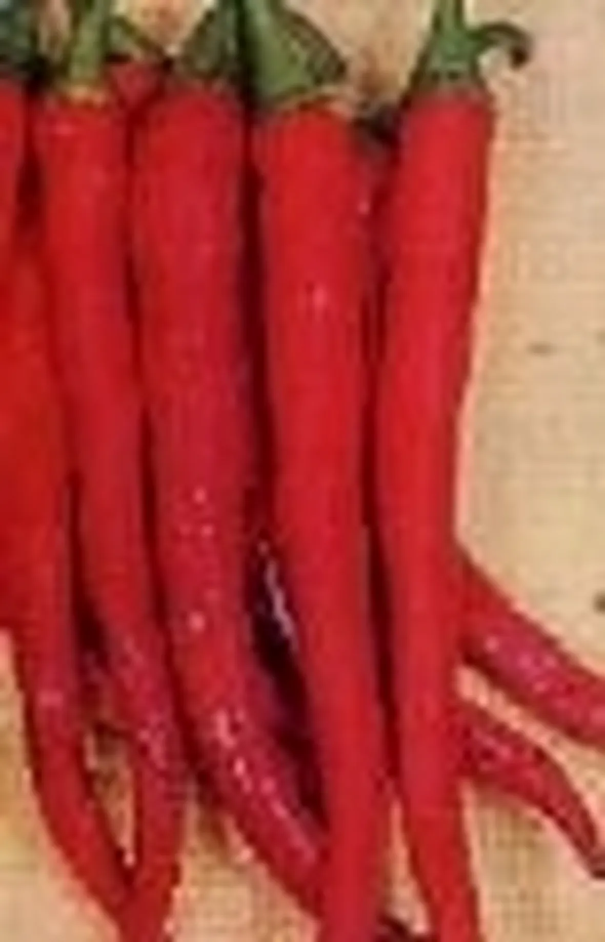 peperoncino