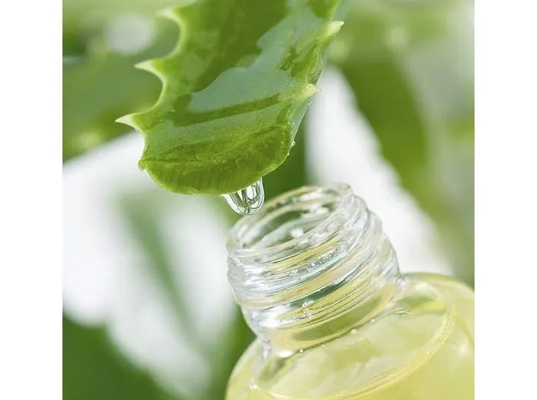 estratto aloe