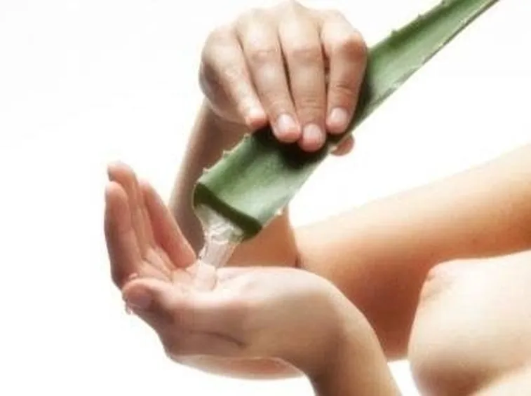 gel foglia aloe