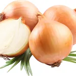 Cipolla segreta