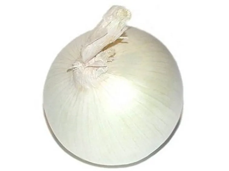 Cipolla bianca