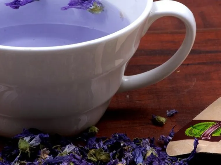 infuso di malva