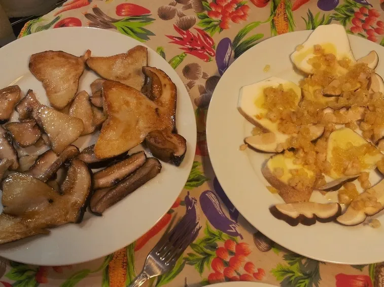 Piatti a base di Boletus aereus