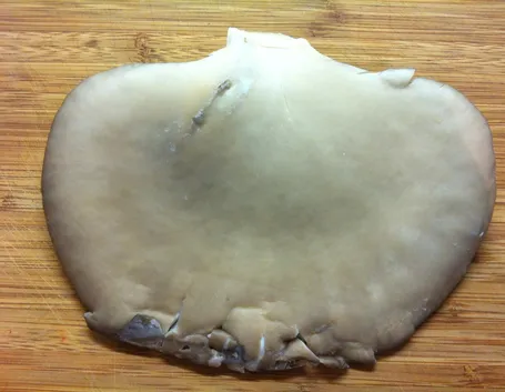 Raggruppamento di funghi Pleurotus