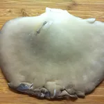 Raggruppamento di funghi Pleurotus