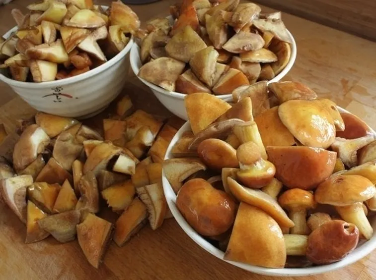 Esemplari di Suillus granulatus pronti per essere cucinati
