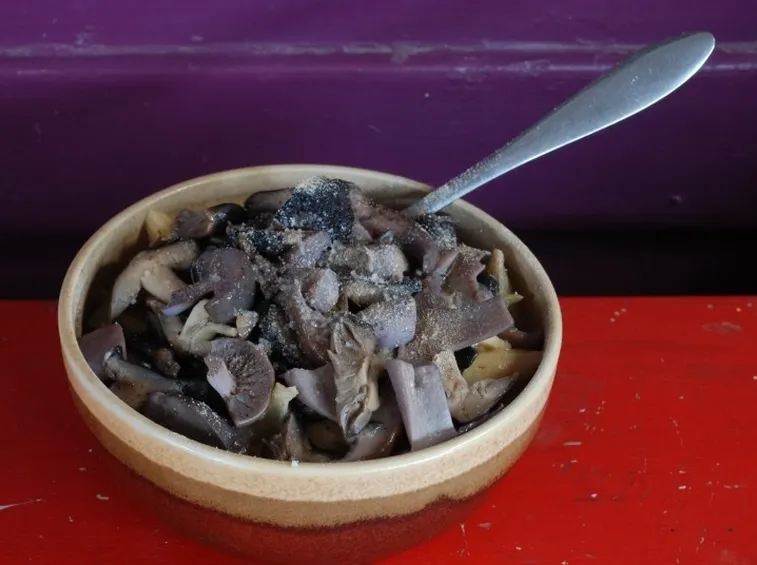 Un piatto di Tricholoma terreum