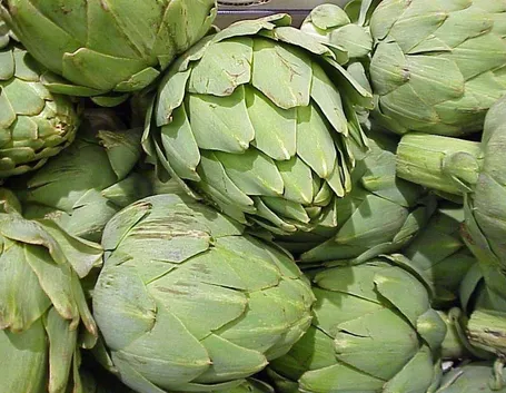 carciofi