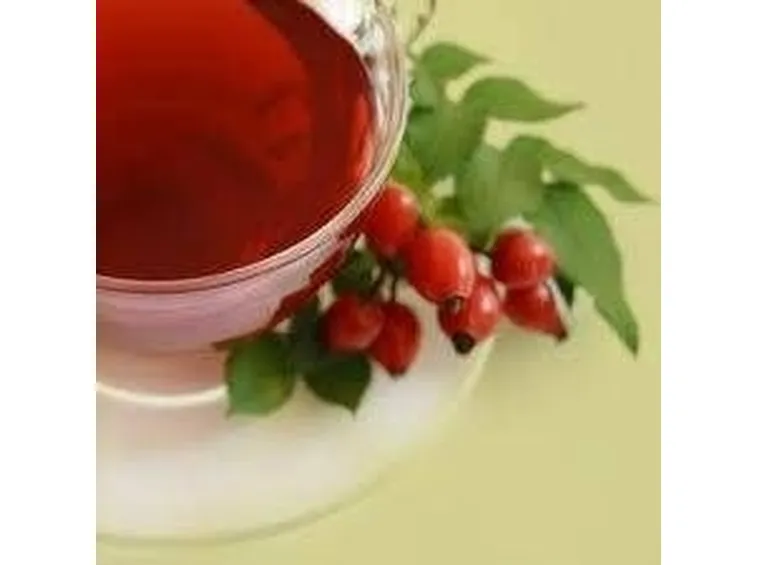 infuso rosa canina