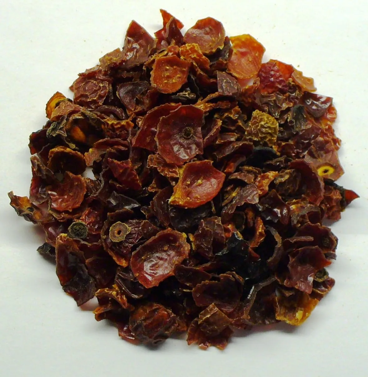 rosa canina