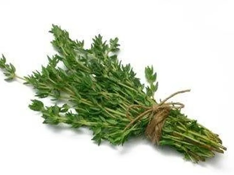 OLIO ESSENZIALE di TIMO