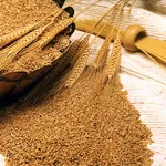 olio di germe di grano
