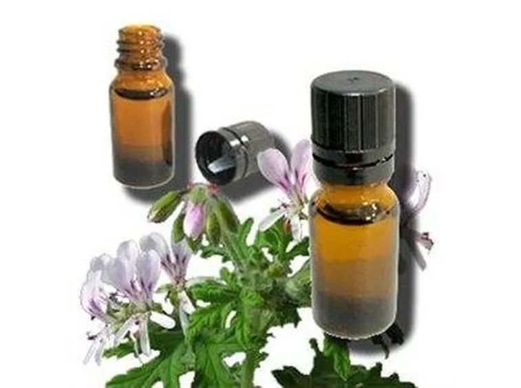 olio essenziale geranio