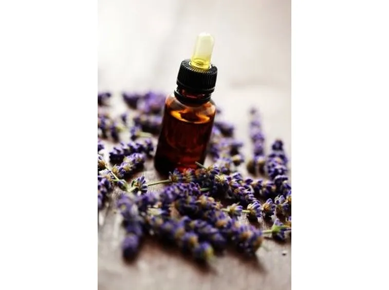 olio essenziale lavanda