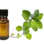 olio essenziale origano