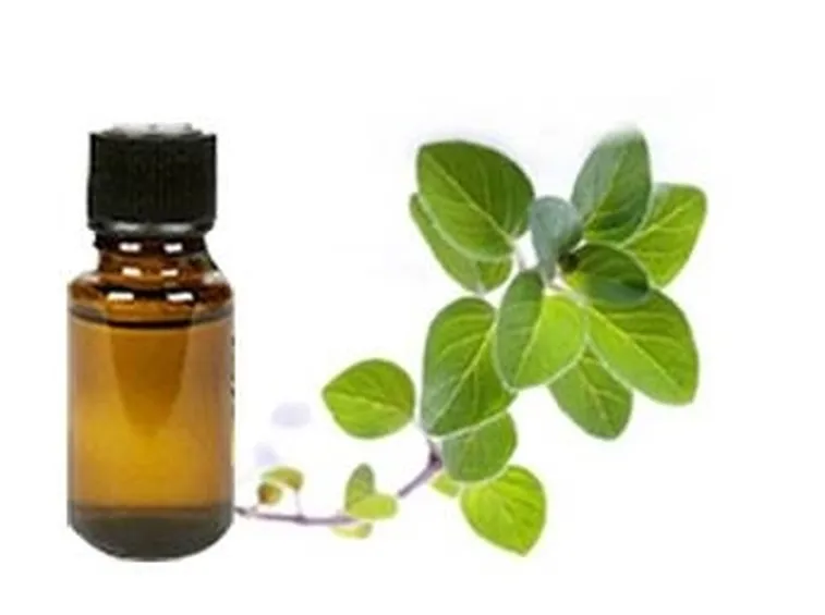 olio essenziale origano