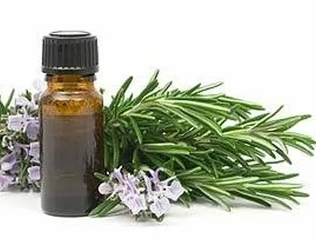 Olio essenziale rosmarino 
