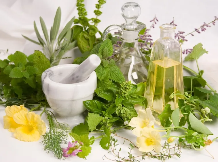 Farmaci vegetali