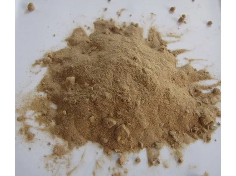 polvere amla