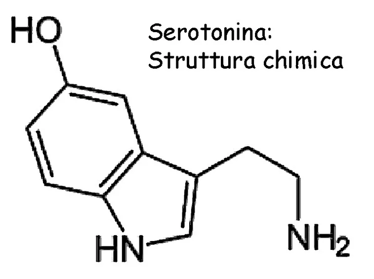struttura chimica