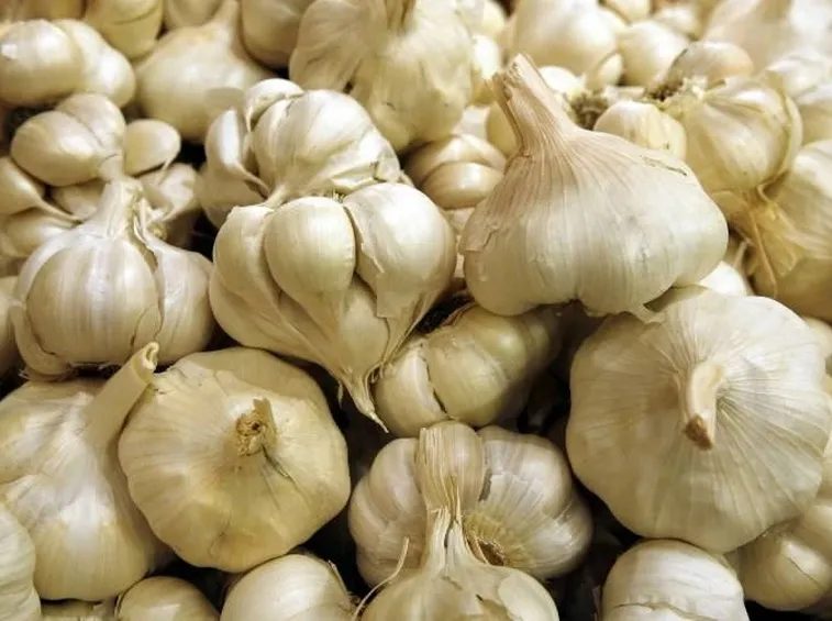 aglio